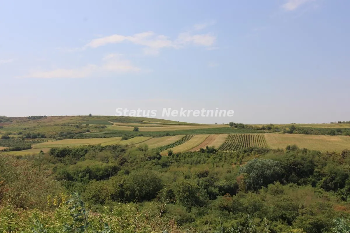 Prodaja, plac, 4502m², Beočin, Srbija