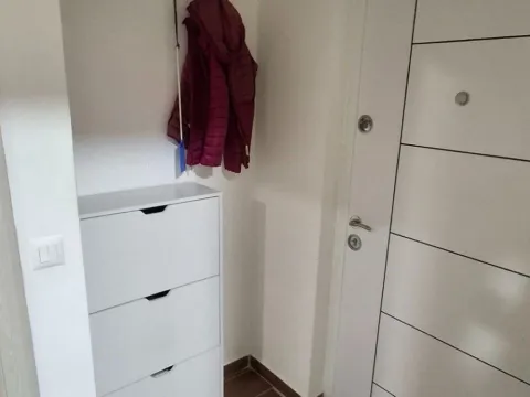 Izdavanje, jednosoban stan, 46m², Ljubović, Podgorica - image 3