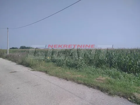 Sale, land lot, 8900m², Ovča, Palilula Sve Podlokacije - image 5