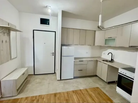 Izdavanje, jednosoban stan, 46m², Stari Aerodrom, Podgorica - image 3