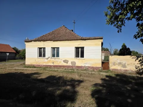 Prodaja, kuća, 130m², Titel, Novi Sad - image 2