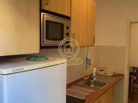 Rent, one bedroom apartment, 30m², Grbavica, Novi Sad Sve Podlokacije - image 7