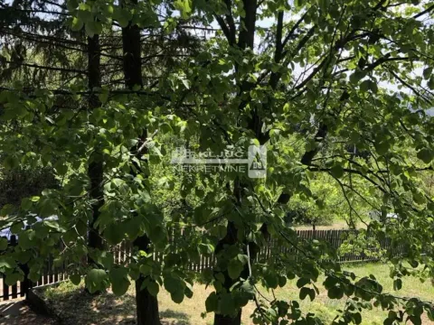 Sale, house, 100m², Koraćica, Mladenovac - image 13