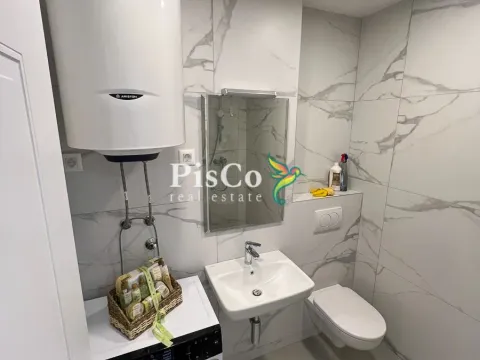 Izdavanje, jednosoban stan, 47m², Stari Aerodrom, Podgorica - image 4