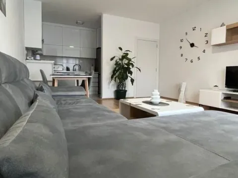 Izdavanje, jednosoban stan, 52m², Veternik, Novi Sad Sve Podlokacije - image 3