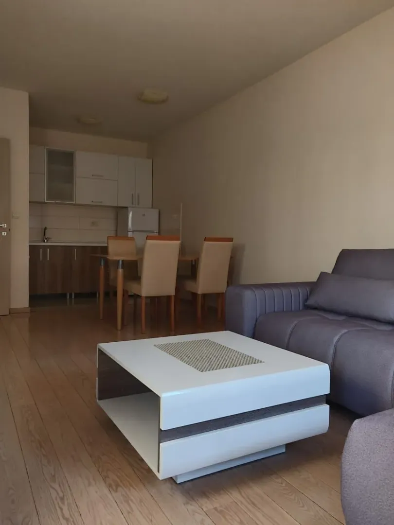 Bright living room featuring a seating area and a dining table in the background.