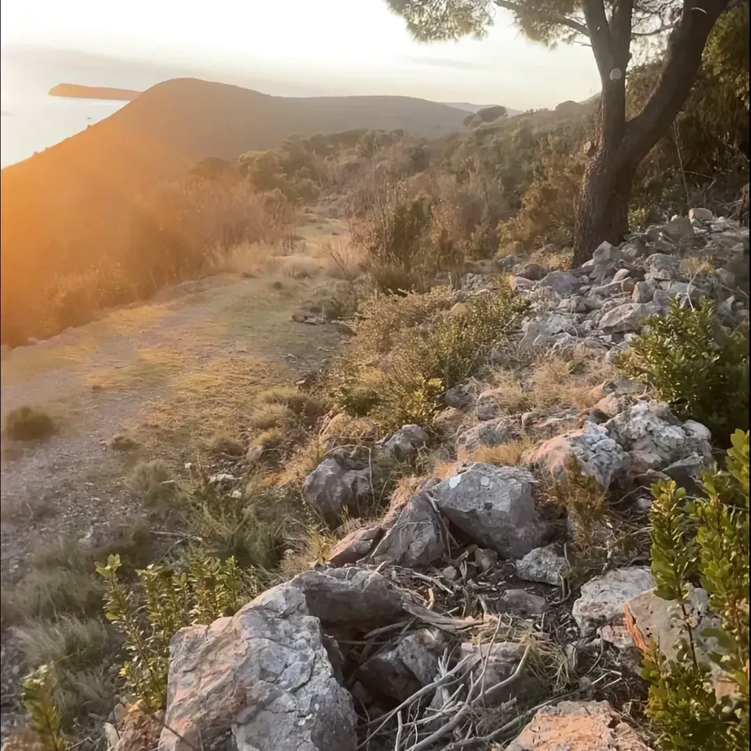 Prodaja, plac, 400m², Luštica, Herceg Novi