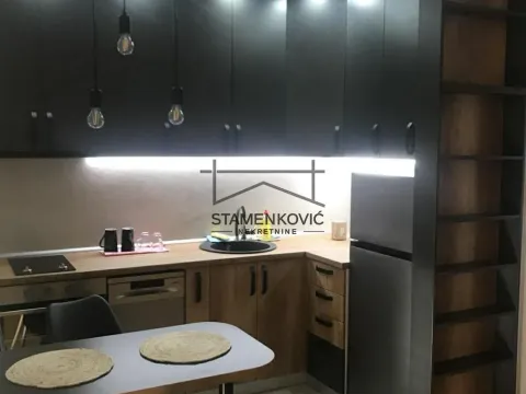 Izdavanje, jednosoban stan, 45m², Centar, Novi Sad - image 6