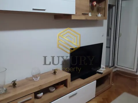 Rent, one bedroom apartment, 51m², Stara Varoš, Podgorica - image 2