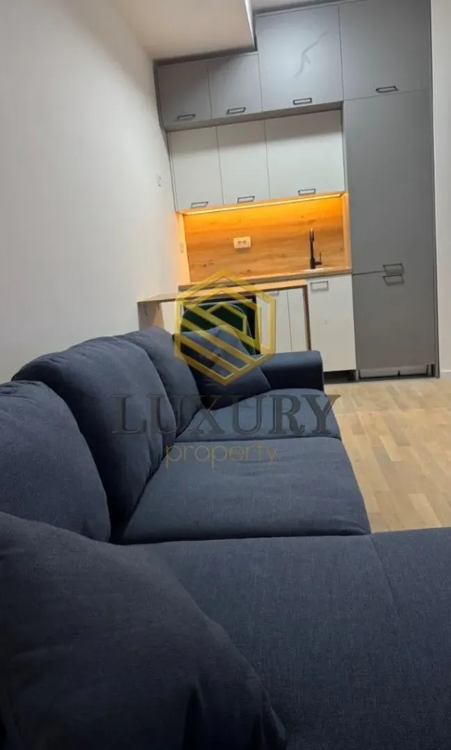 Rent, studio apartment, 29m², Vezirov Most, Podgorica