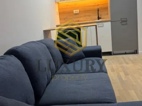 Izdavanje, garsonjera, 29m², Vezirov Most, Podgorica - image 2