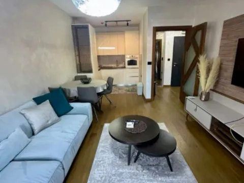 Izdavanje, jednosoban stan, 49m², Ljubović, Podgorica - image 2