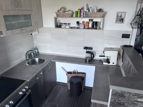 Sale, one bedroom apartment, 46m², Banatić, Novi Sad Sve Podlokacije - image 4