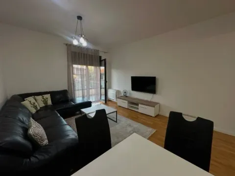 Izdavanje, jednosoban stan, 60m², Centar, Podgorica - image 6