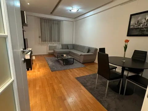 Izdavanje, jednosoban stan, 60m², Stari Aerodrom, Podgorica - image 11