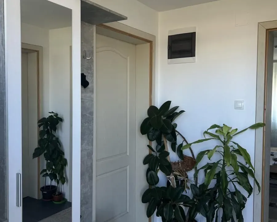 Sale, house, 120m², Begeč, Novi Sad Sve Podlokacije