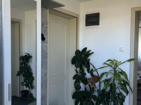 Prodaja, kuća, 120m², Begeč, Novi Sad Sve Podlokacije - image 1