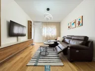 Izdavanje, jednosoban stan, 49m², Central Point, Podgorica - image 1