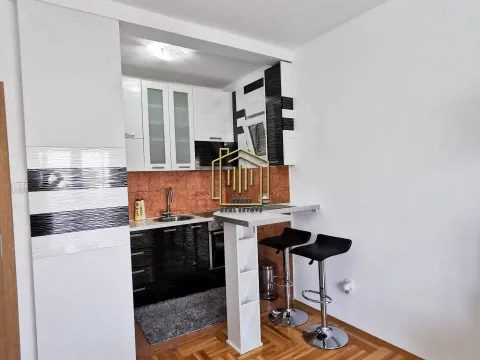 Izdavanje, jednosoban stan, 43m², Zabjelo, Podgorica - image 4