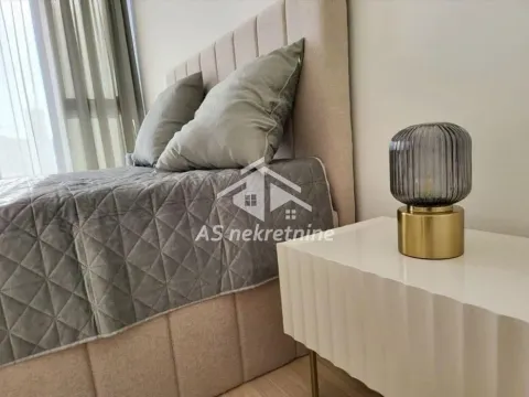 Izdavanje, dvosoban stan, 53m², Savski Venac, Beograd - image 8