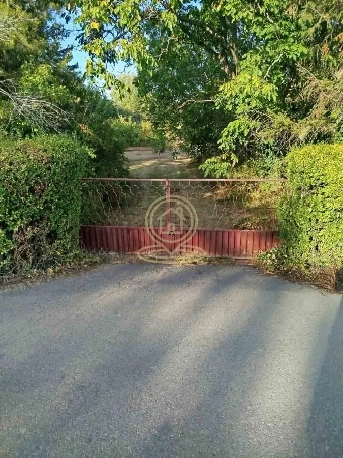 Dvorišna kapija i prilaz sa zelenilom.