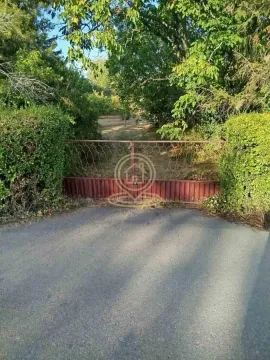 Dvorišna kapija i prilaz sa zelenilom. - image 2