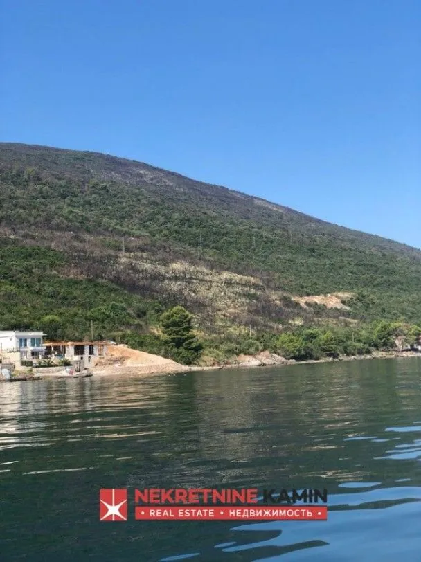 Prodaja, plac, 55000m², Krašići, Tivat
