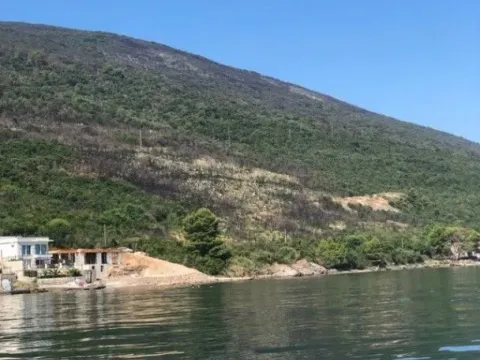 Prodaja, plac, 55000m², Krašići, Tivat - image 6
