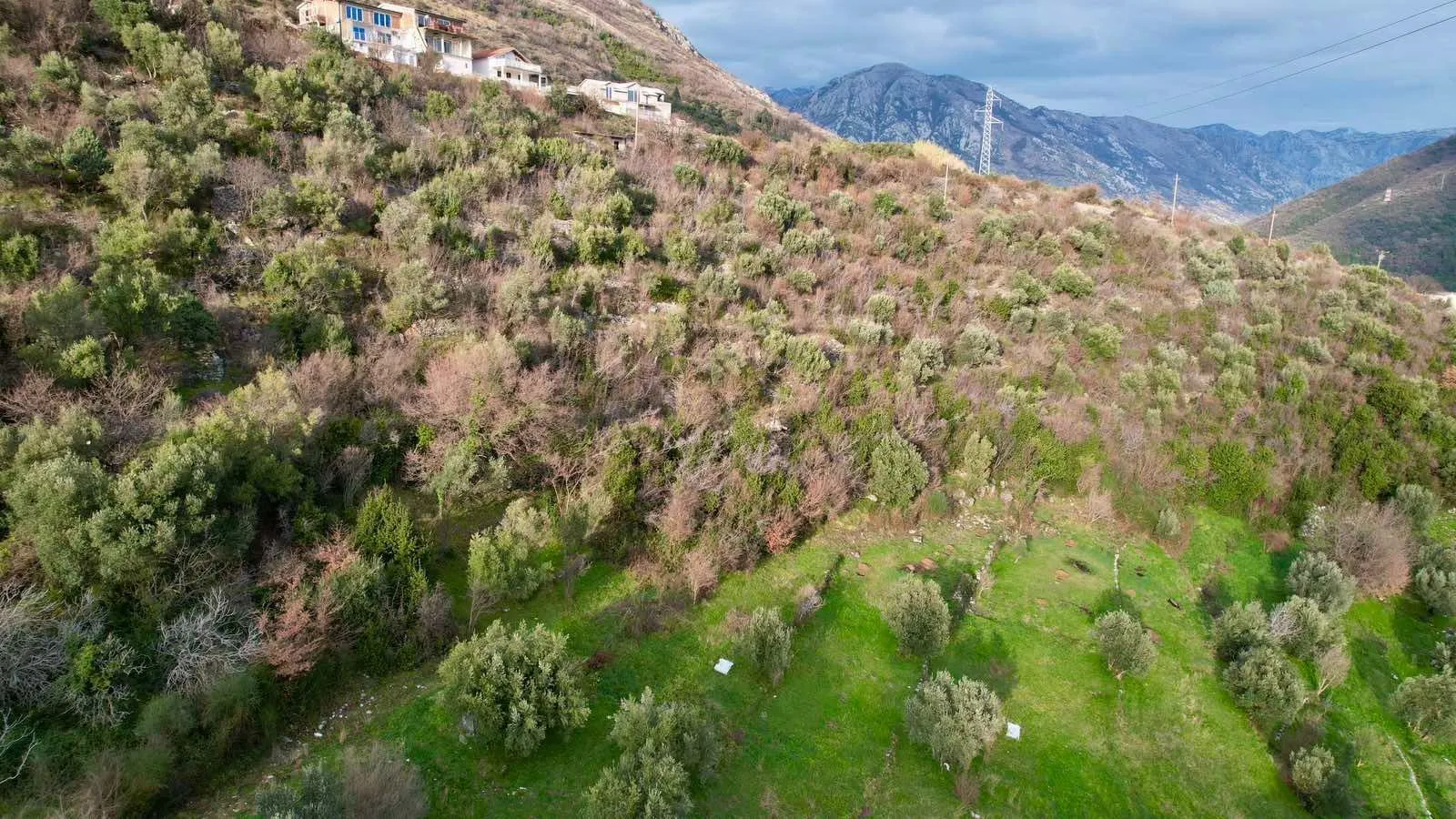 Prodaja, plac, 750m², Herceg Novi, Crna Gora