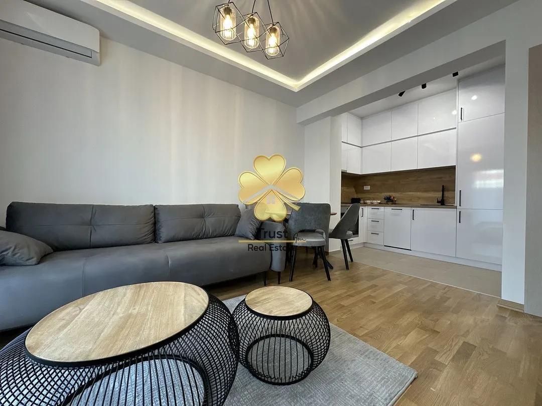 Rent, one bedroom apartment, 45m², Stara Varoš, Podgorica