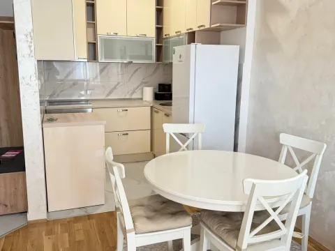 Izdavanje, jednosoban stan, 47m², Zagorič, Podgorica - image 4