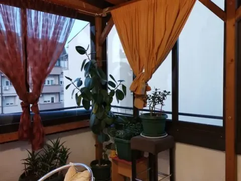 Prodaja, trosoban stan, 84m², Zvezdara Sve Podlokacije, Beograd - image 7