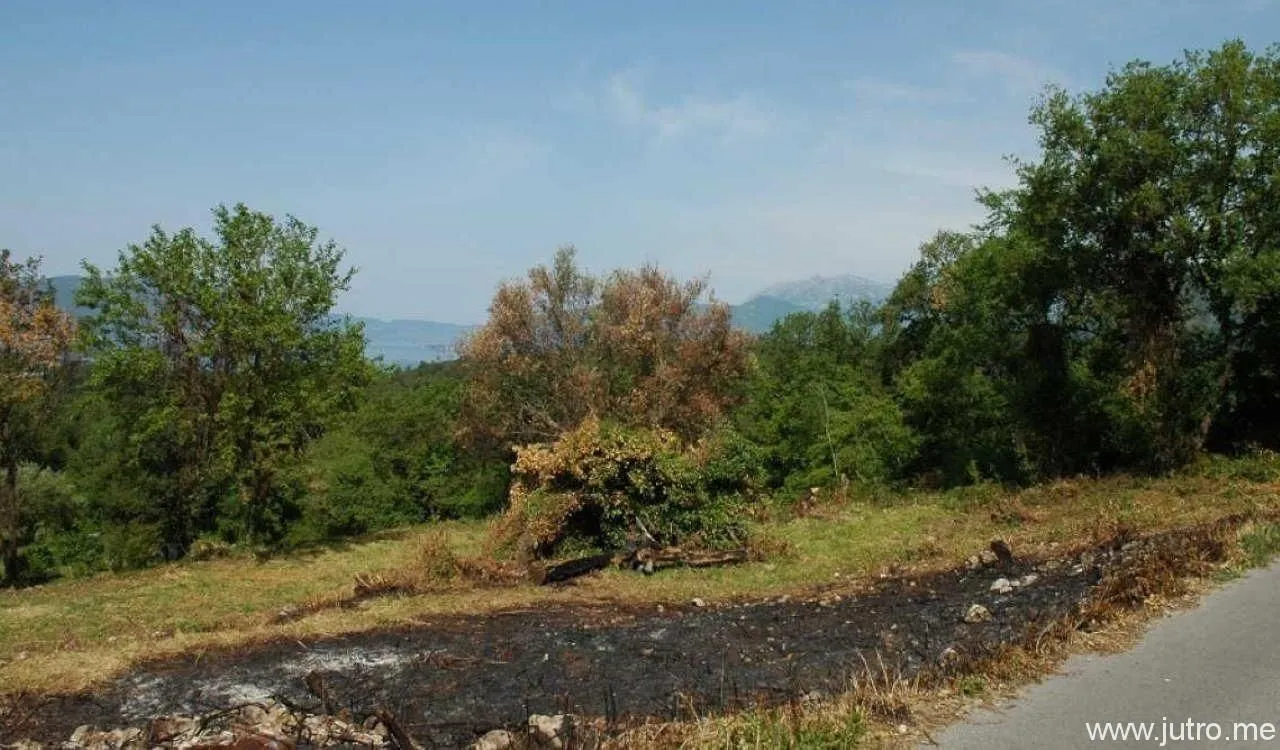 Prodaja, plac, 1554m², Kavač, Kotor