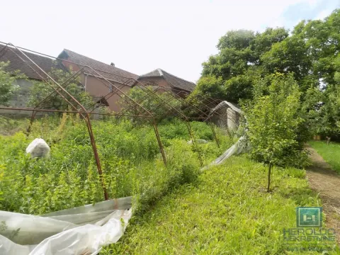 Sale, land lot, 2800m², Šavac, Paraćin - image 5