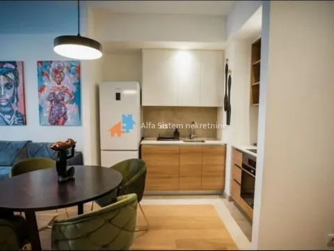 Izdavanje, dvosoban stan, 54m², Savski Venac, Beograd - image 3