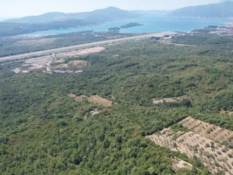 Sale, land lot, 7700m², Kavač, Kotor - image 17