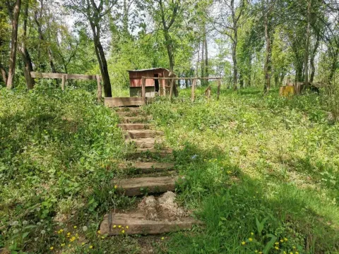 Drvene stepenice koje vode do male brvnare okružene zelenilom. - image 5