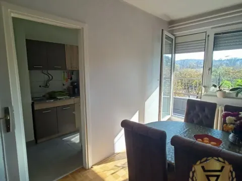 Izdavanje, četvorosoban stan, 85m², Farmaceutski Fakultet, Voždovac Sve Podlokacije - image 4