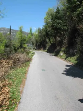 Asfaltirani prilazni put okružen zelenilom pod plavim nebom. - image 3