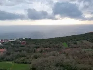 Sale, land lot, 487m², Krimovica, Kotor - image 18