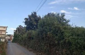 Prodaja, plac, 2000m², Dobre Vode, Bar - Mehr