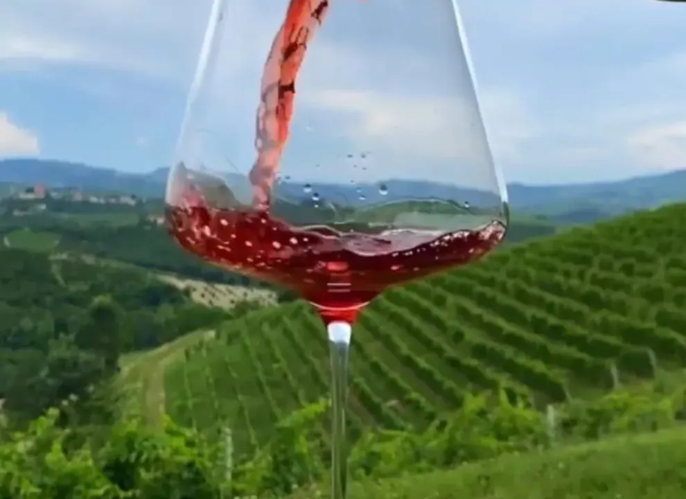 Sale, land lot, 25000m², Žabljak II, Žabljak