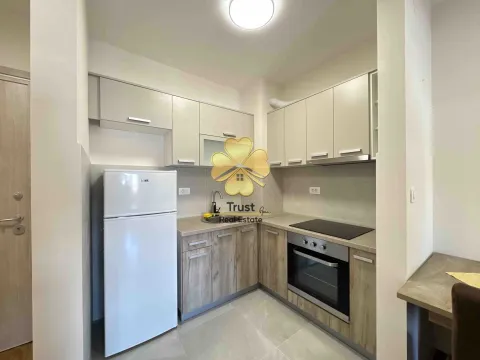 Izdavanje, jednosoban stan, 41m², Central Point, Podgorica - image 4