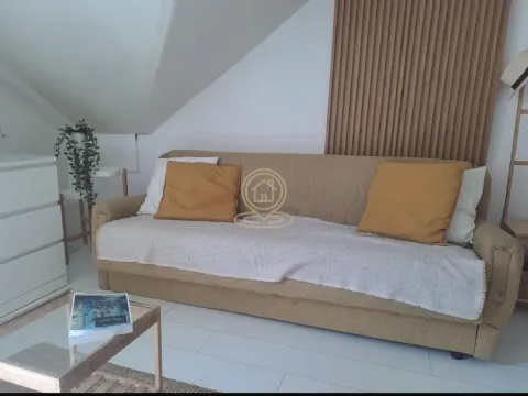 Izdavanje, jednosoban stan, 29m², Vračar Sve Podlokacije, Beograd - image 3