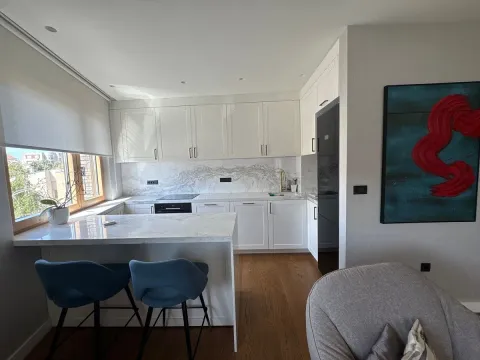 Izdavanje, dvosoban stan, 67m², Južni Bulevar, Vračar Sve Podlokacije - image 5