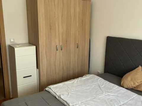 Rent, one bedroom apartment, 34m², Zabjelo, Podgorica - image 5