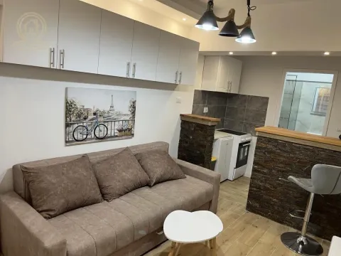 Izdavanje, garsonjera, 29m², Petrovaradin, Novi Sad - image 4