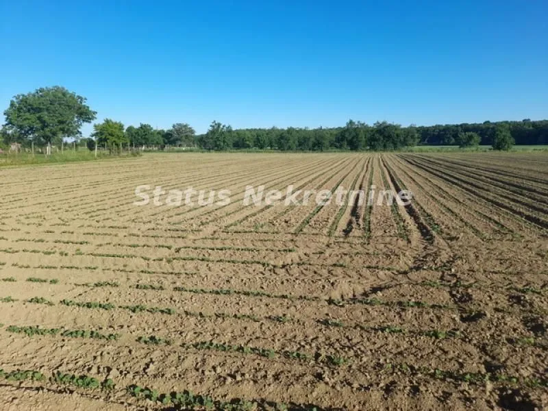 Prodaja, kuća, 194m², Šid, Srbija