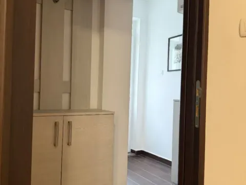 Izdavanje, jednosoban stan, 52m², Dalmatinska ulica, Podgorica - image 5