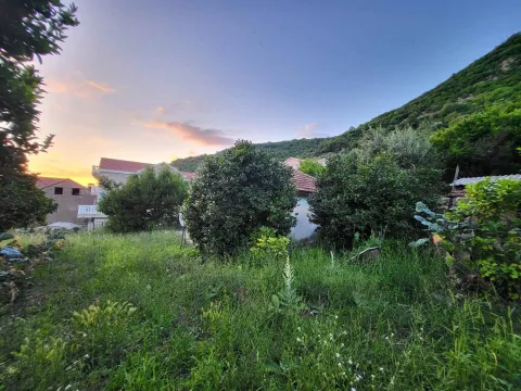 Zeleno dvorište sa bujnim rastinjem i pogledom na brda u sumrak. - image 7